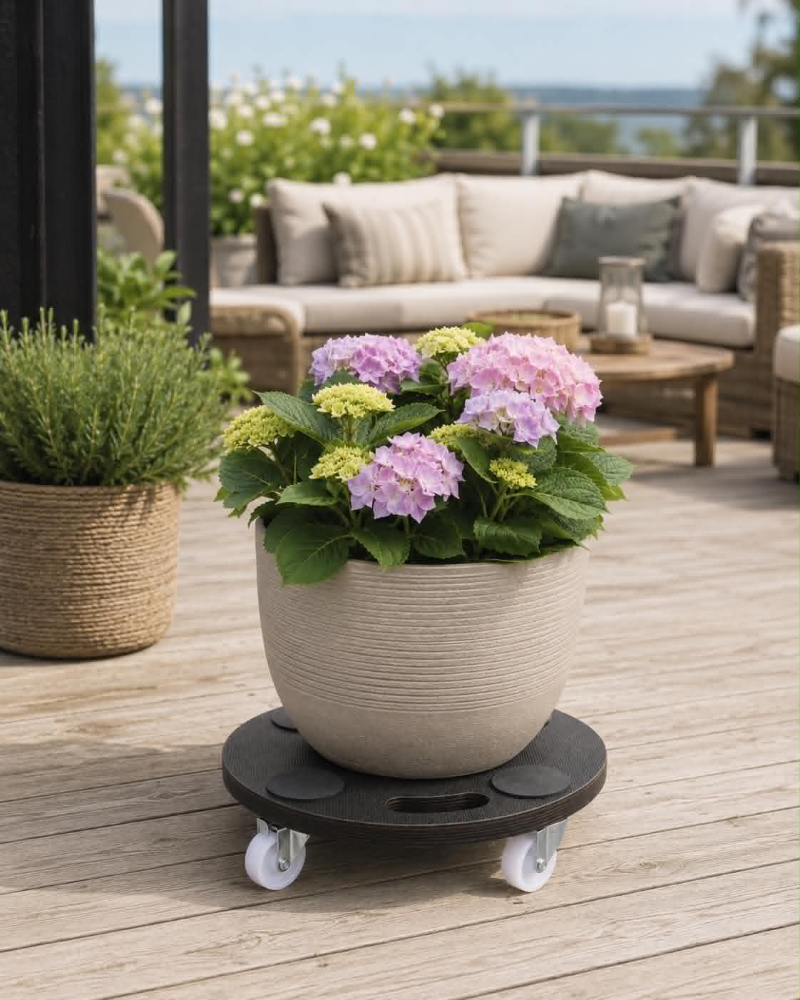 Plantenrolwagen - max. 150 kg