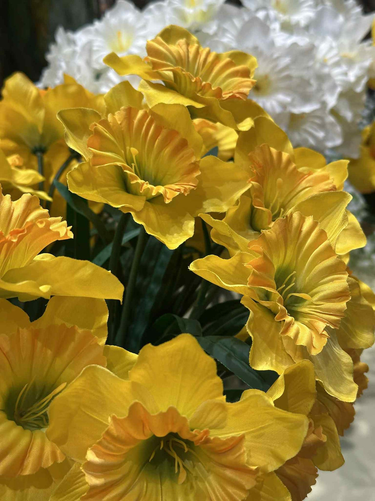 Narcis - Geel