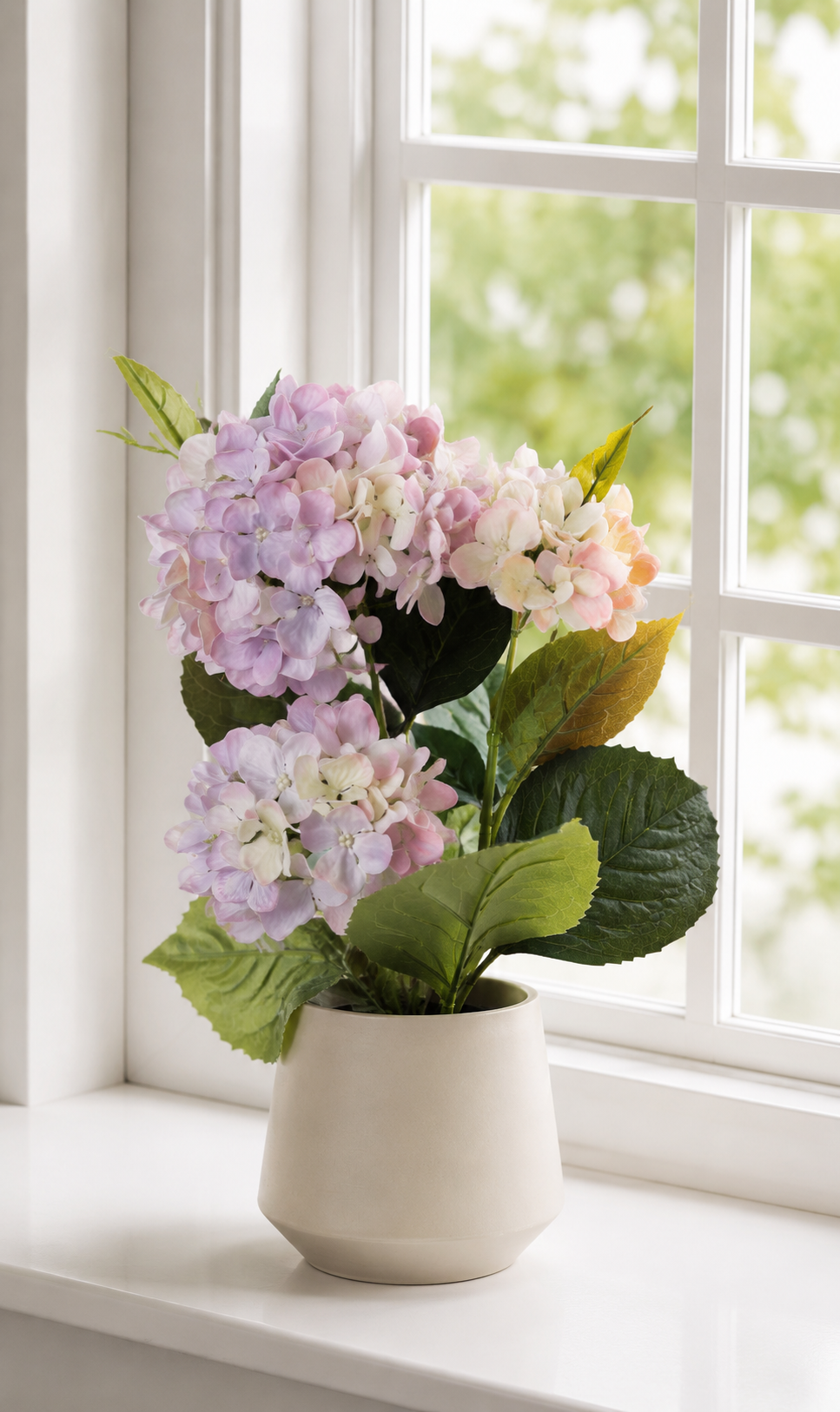 Hortensia in pot - Lila