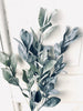 Eucalyptussteel - 58 cm