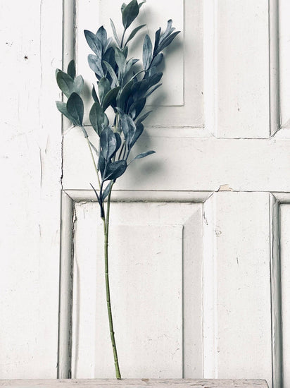 Eukalyptus stilk - 58 cm - VIAMAJA.DK