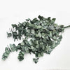 Eeuwigheidsboeket - Eucalyptus cynera