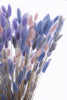 Droogboeket - Pastel mix Lagurus