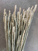 Eeuwige boeket - Tarwe (Hvede) Naturel