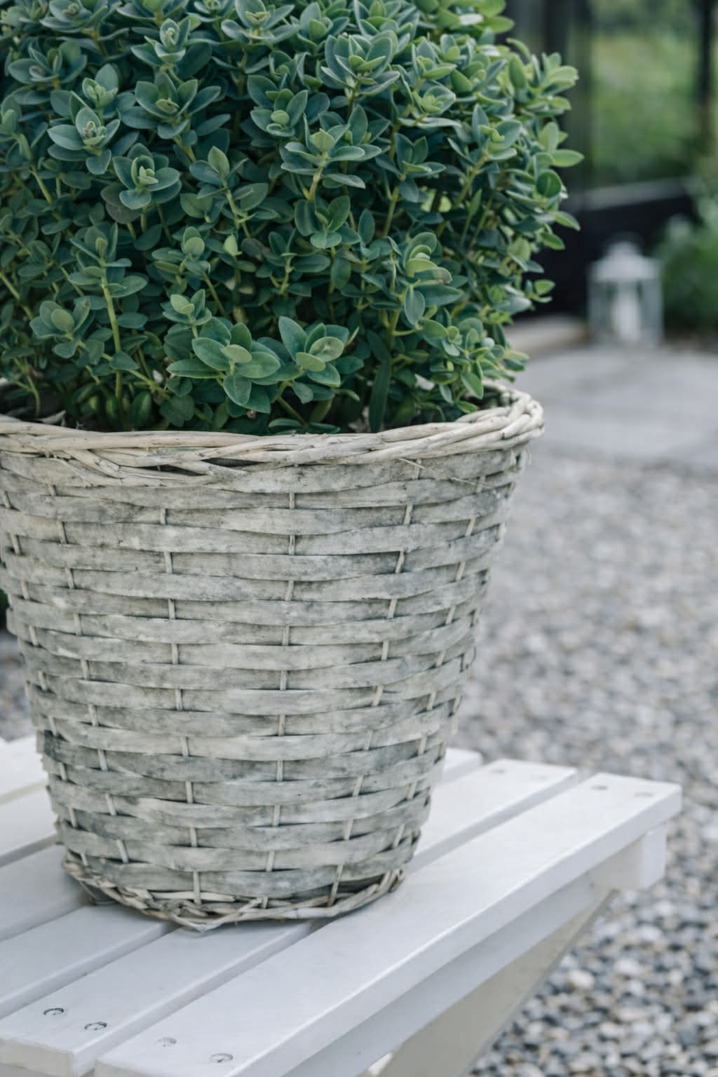 Plantenmand 20 cm
