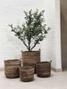 Manden Naturel - Set van 4 stuks
