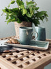 Schotel steengoed – Mint
