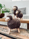 Schaap Bruin - Groot