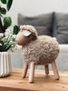 Schaap Natuur – Groot