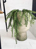 Hangplant in pot