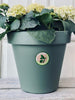 Tuinpot met watersysteem - Gerecycled Groen