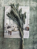 Gierst Grey