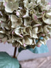Hortensia m. bladeren H80cm