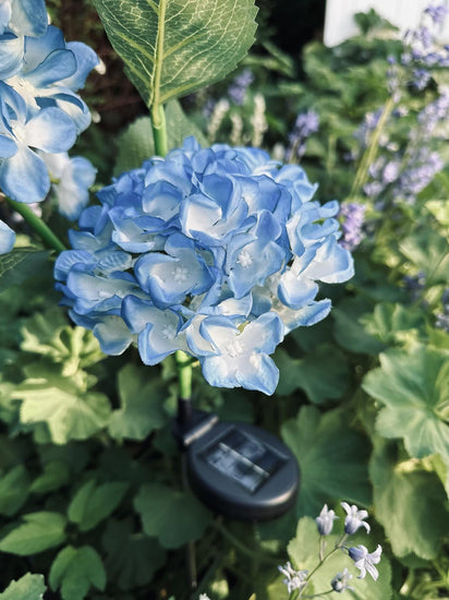 Hortensia med solceller – Blå - VIAMAJA.DK