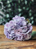Hortensia paars