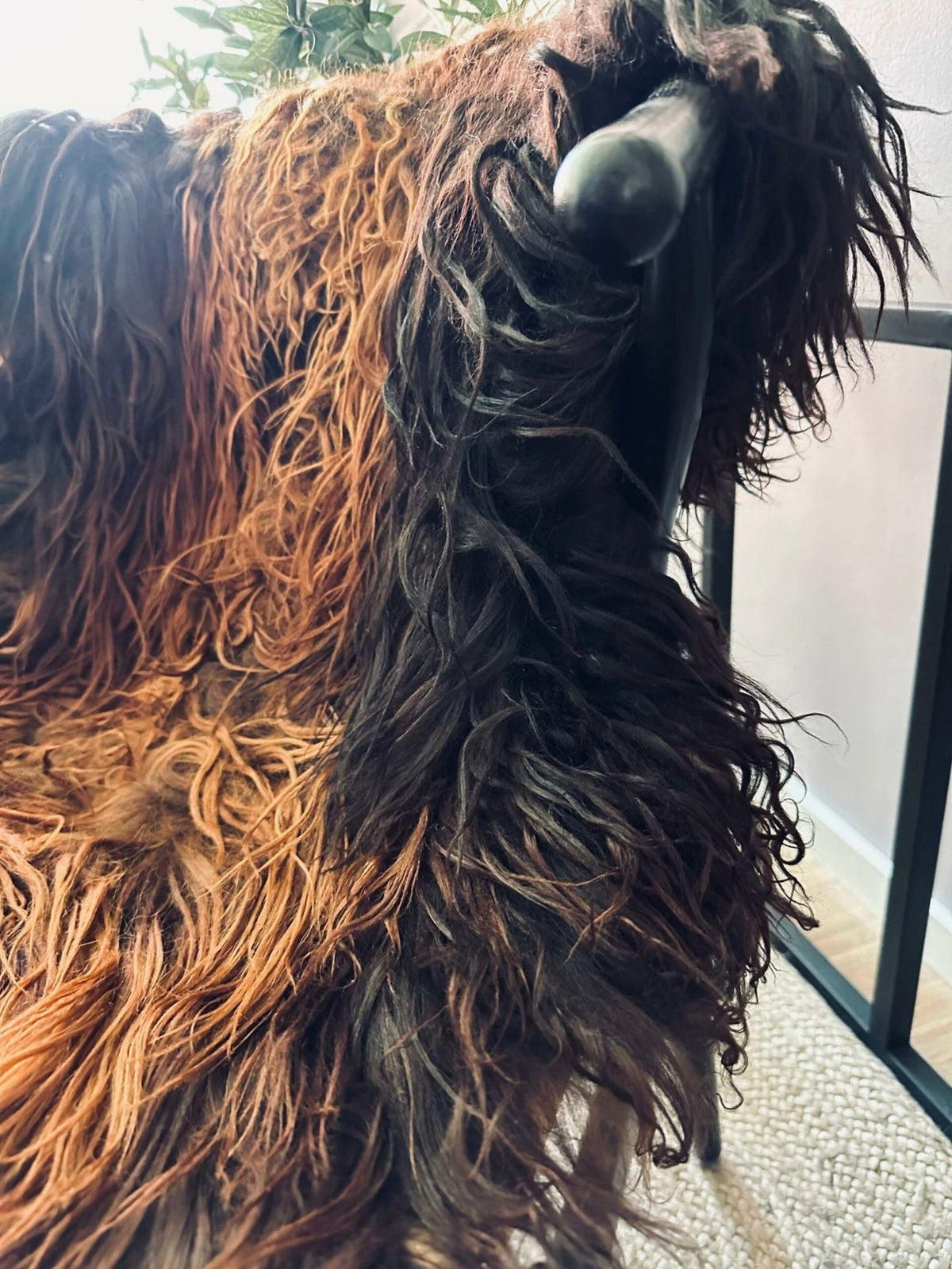 Islandsk lammeskind – Curly dark ginger - VIAMAJA.DK