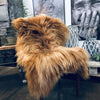 IJslands schapenvacht - Ginger
