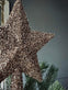 Julestjerne til juletræ 27 cm - Champagne / Gold - VIAMAJA.DK