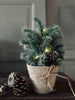 Kerstboom in pot met sneeuw - Ink Lichtsnoer