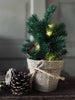 Kerstboompje in pot zonder sneeuw – Inkl. Lichtslinger