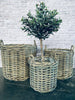 Grote plantenmanden - Set van 3 stuks - OPHAALAANBIEDING