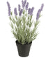 Lavendel – 40 cm - VIAMAJA.DK