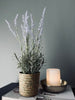 Lavendel in natuurpot - Lichtpaars