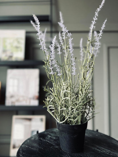 Lavendel mix - H 46cm - VIAMAJA.DK