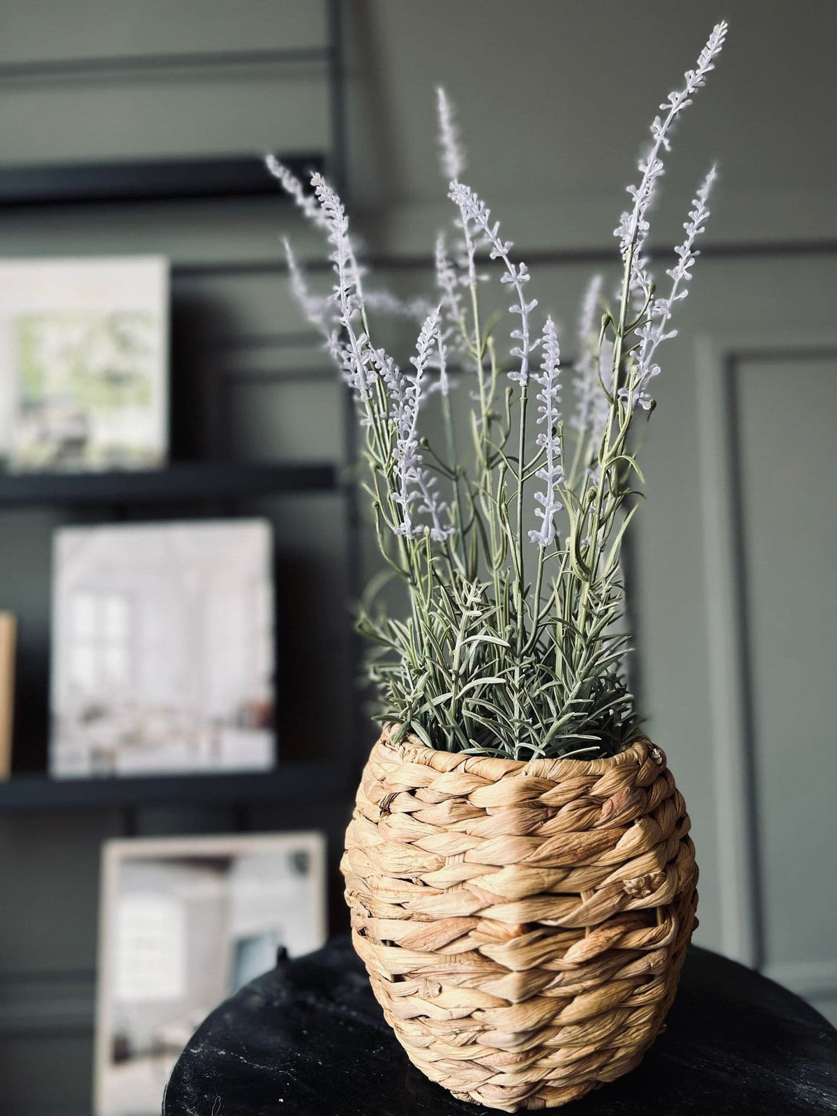 Lavendel mix - H 46cm - VIAMAJA.DK