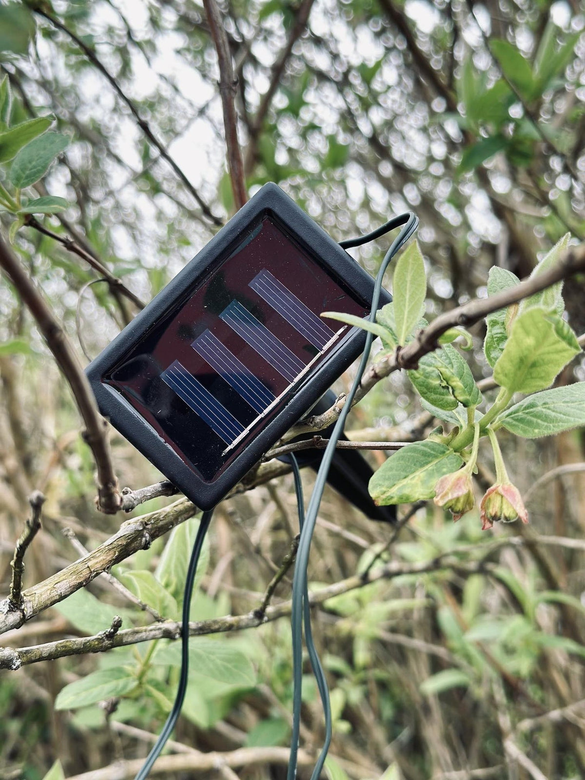 LED Lyskæde med solceller - Udendørs COLOR - VIAMAJA.DK