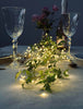 Lichtslinger silver wire met 100 LED-lichtjes