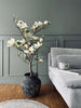 Magnoliaboom in pot - 120 cm Wit / Lime