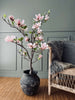 Magnoliaboom in pot - 120 cm Roze