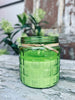Myggelys – Citronella Groen