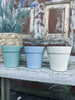 Muggenlicht – Citronella in biopot