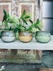 Citronellakaarsen – Citronella mix