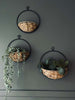 Ophangsysteem met plantenmand - Medium