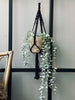 Plantenhanger – Nature mix
