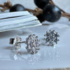 Oorstekers Silver