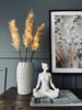 Pampas met LED verlichting en timerfunctie
