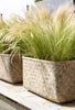 Plantenbak Natuur / cement