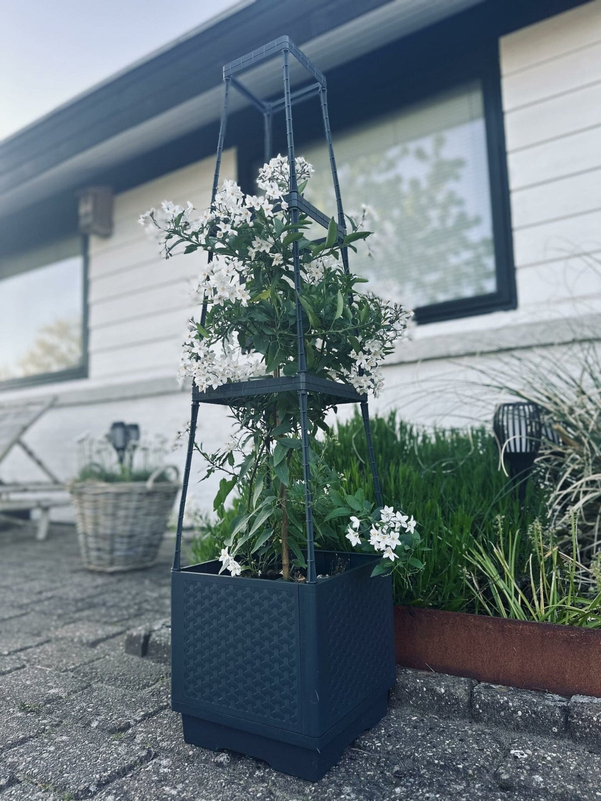 Plantetårn til tomater og klatreplanter - VIAMAJA.DK