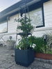 Plantentoren voor tomaten en klimplanten