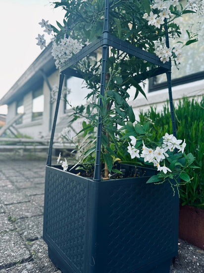 Plantetårn til tomater og klatreplanter - VIAMAJA.DK