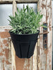 Hangpot met ophanging - Black Noise