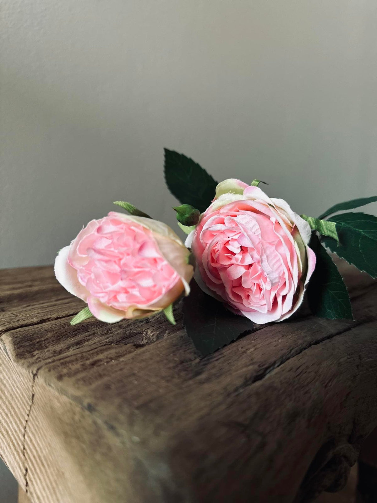 Rose 54cm – Pink - VIAMAJA.DK