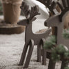 Rudolf - Groot