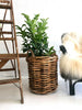 Rustieke plantenmand - XL MAAT  - MOET IN DE WINKEL WORDEN OPGEHAALD