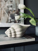Shell keramiek 13×21 small
