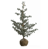Zilverspar met LED – licht 125 cm